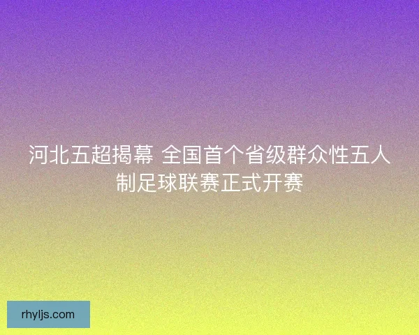 河北五超揭幕 全国首个省级群众性五人制足球联赛正式开赛